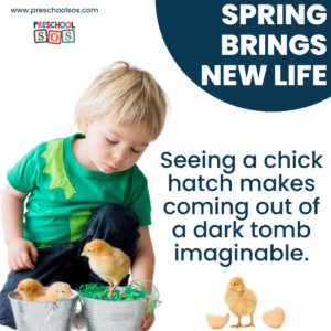 a little boy is playing with chicks